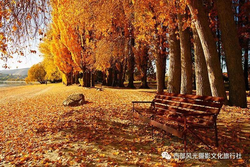 跳跃的立方体