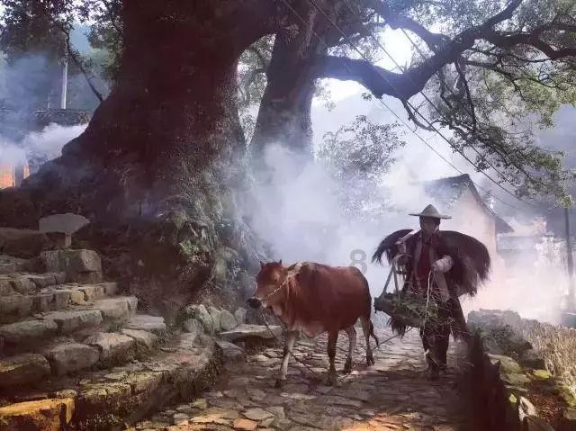 大唐无双唯美篇