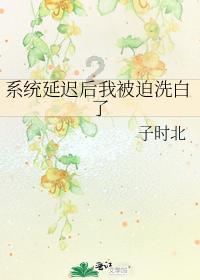 海南文昌中行网点为“候鸟”客户打造服务通道