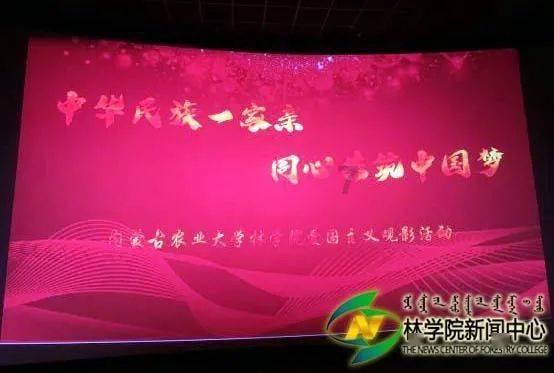 狂野飙客4